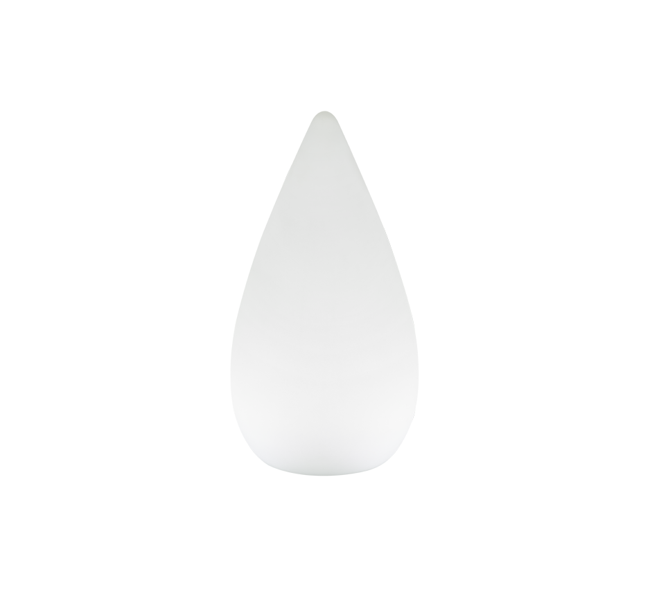 R55101101 R55101101