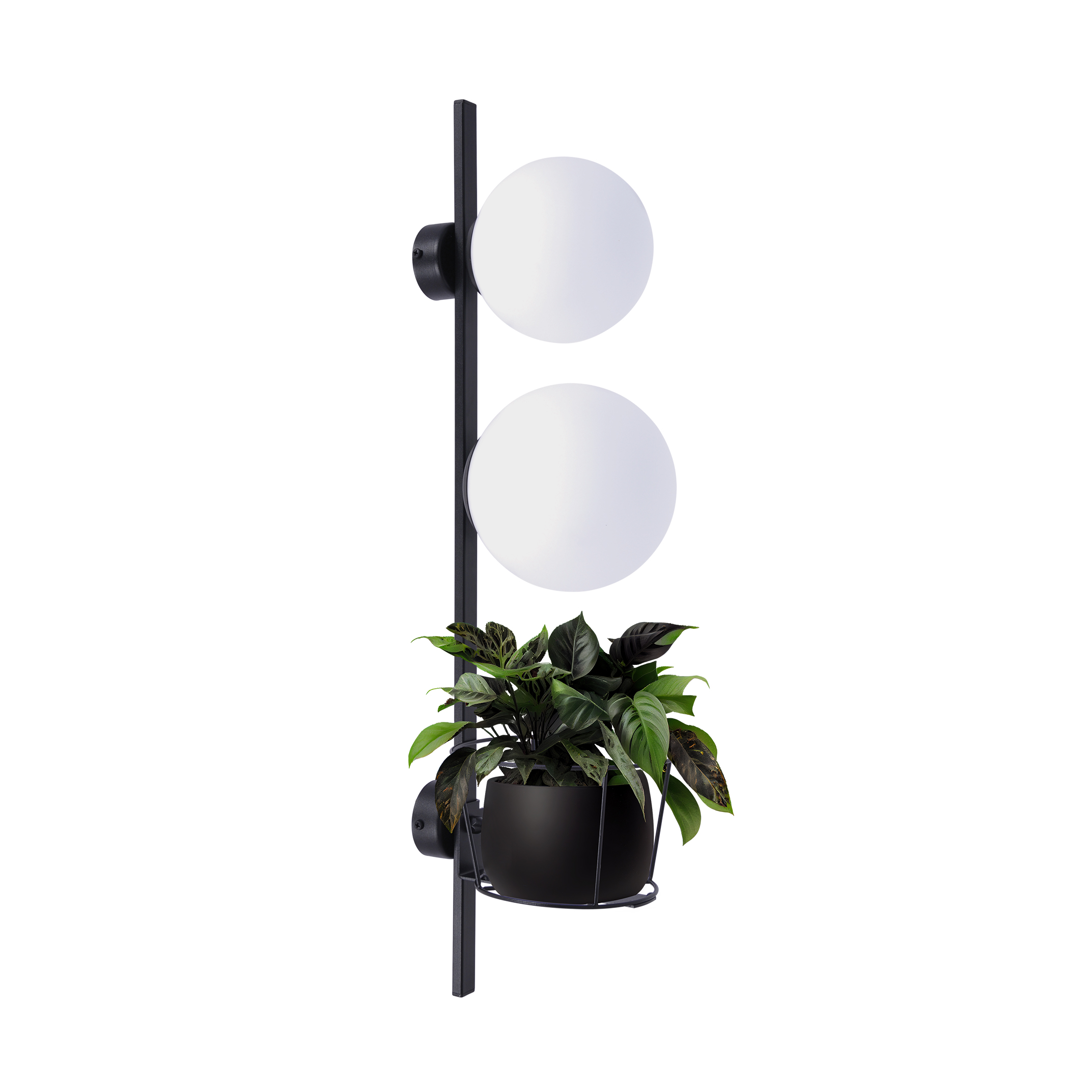 plant-wall_2-lamperia-concept plant wall 2 lamperia concept