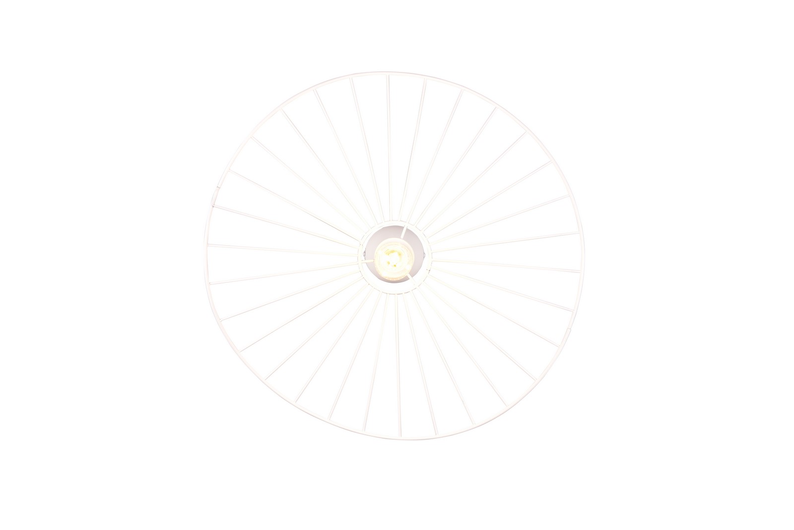 r61451031_1 r61451031 1