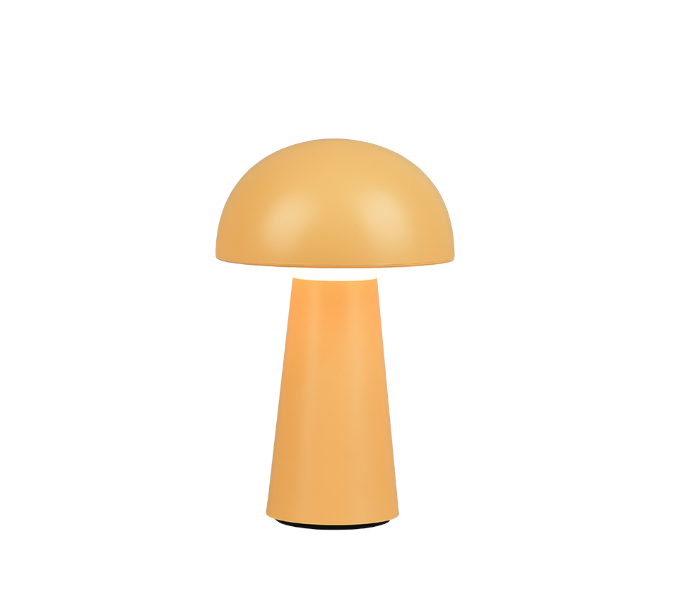 R52176183 R52176183