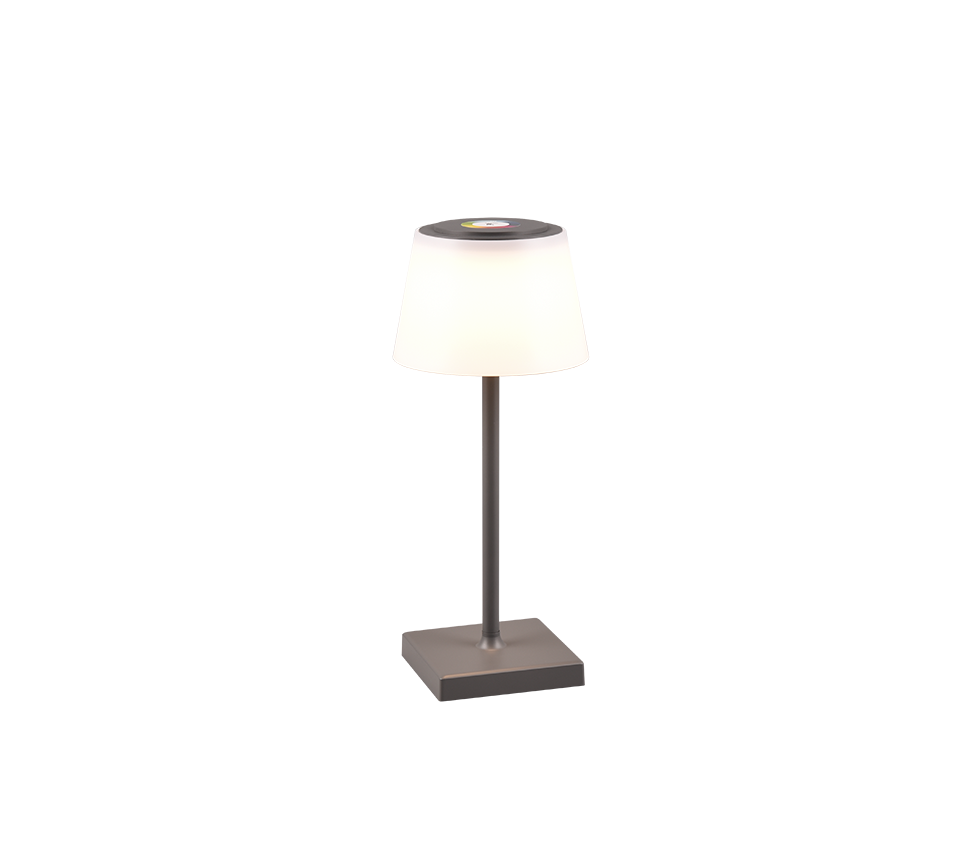 R54126142 R54126142