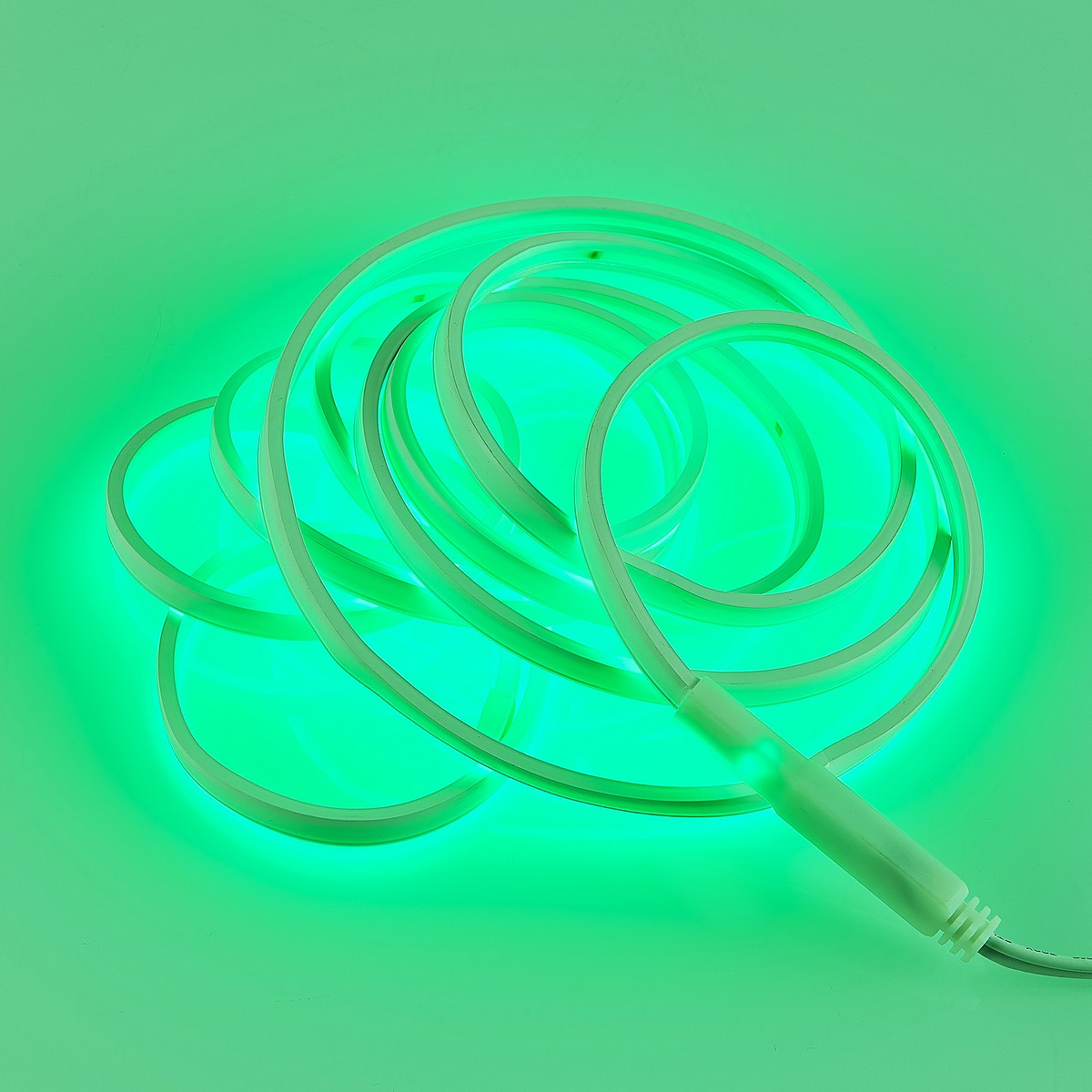 R65583100_5 R65583100 5