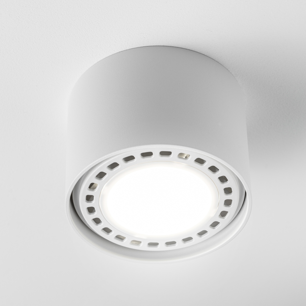 sakura-r-wh-punktowa-lampa-sufitowa-ar111-lamperiaconcept sakura r wh punktowa lampa sufitowa ar111 lamperiaconcept